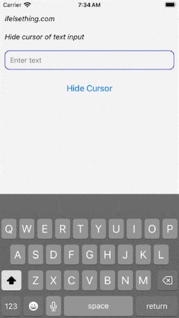 Hide Cursor of React Native Text Input