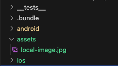 Show Local Asset Image Asset Structure in React Native