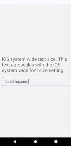 AllowFontScaling prop in react native android